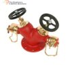 Double Headed Hydrant Valve